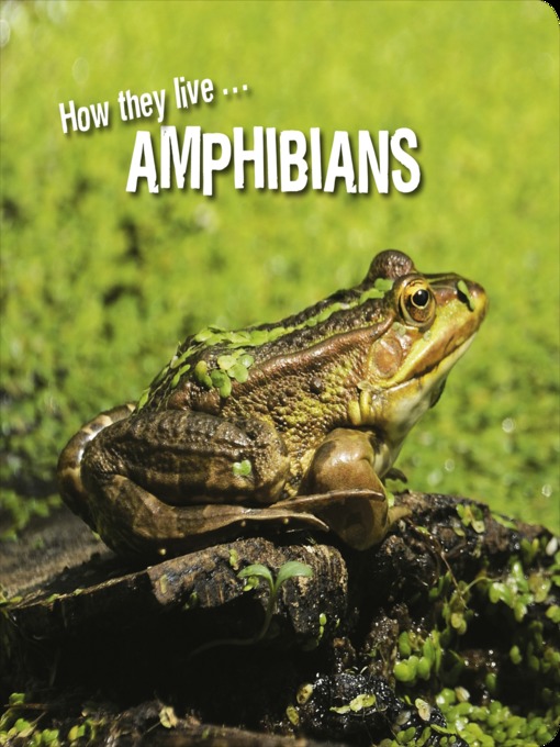 Title details for How they live... Amphibians by David Withrington - Available